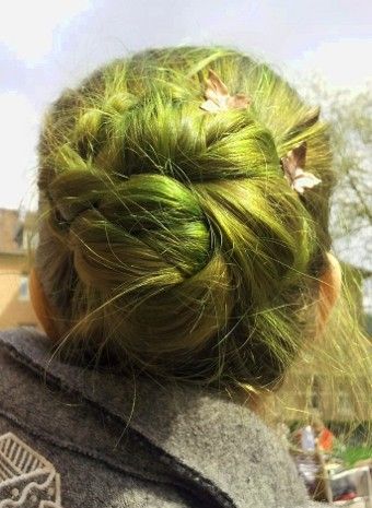 Bild