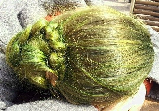 Bild
