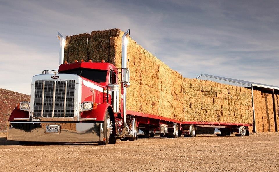 1ad7b07bc758983e369d3ab3a9228e9f_zpsq4ow