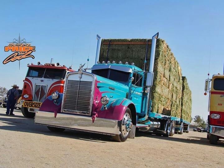 57a98df520e8dd9898b82fcf263c0577_zpsppfs