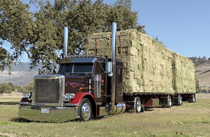 650514a384ec6f5732b7a91f87302262_zpsglwf