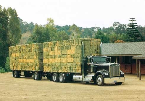 hay_truck_zpsp58apcot.jpg