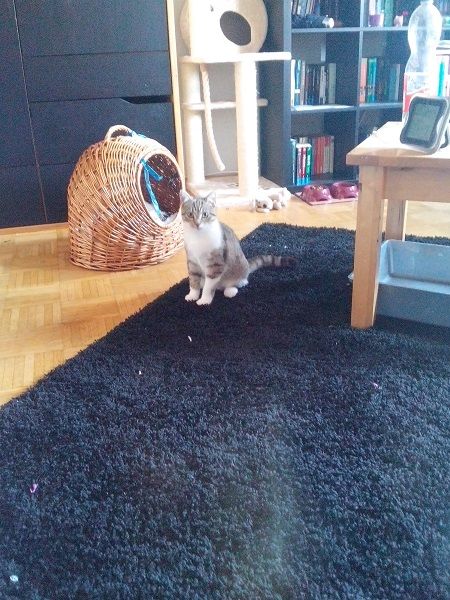Bild