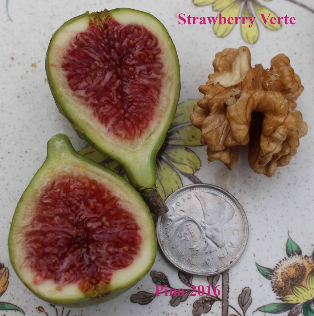 [sv%20IMG_6422_zpsit1q9hue]