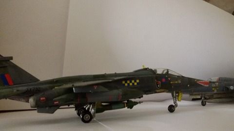 17842026_10208104449024240_1624207076_n_