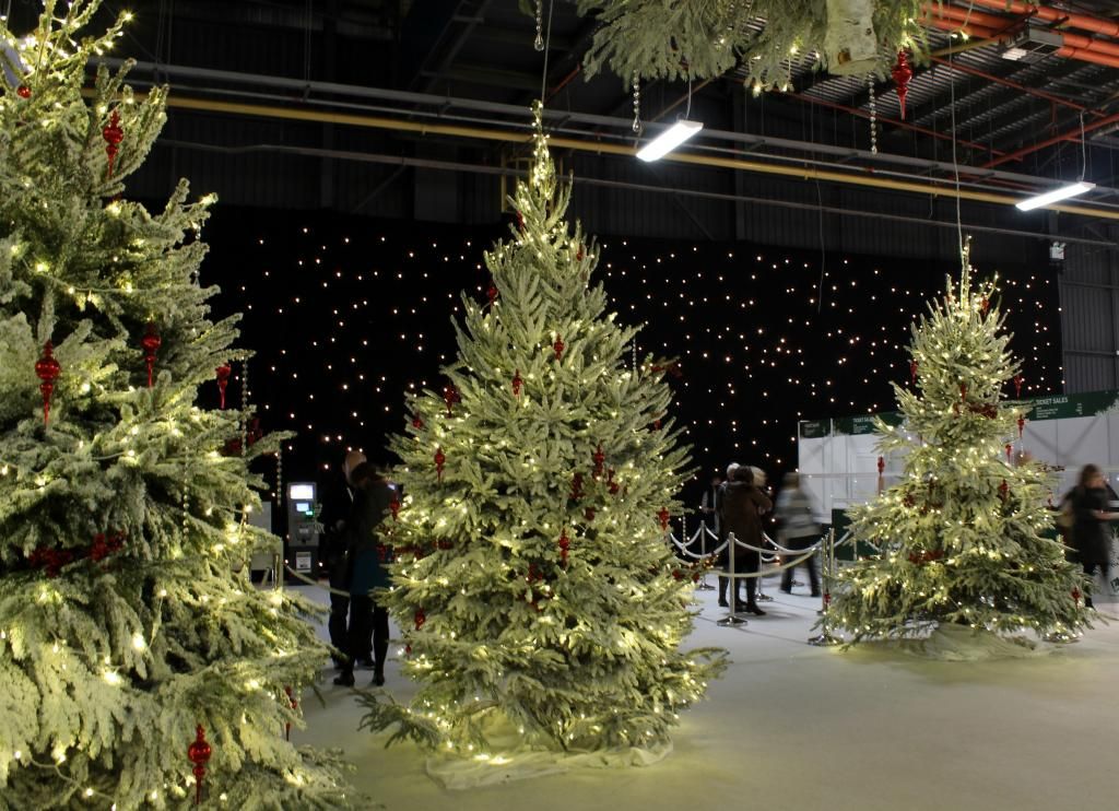 Christmas trees at the Ideal Home Show