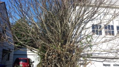  photo 02455880-46cc-4d10-b8fb-f6d88e9674a7_zps3cdec0cd.jpg