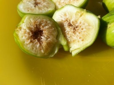  photo 933fcee2-06a7-491d-842e-e0462004a8a3_zps4926a4f2.jpg