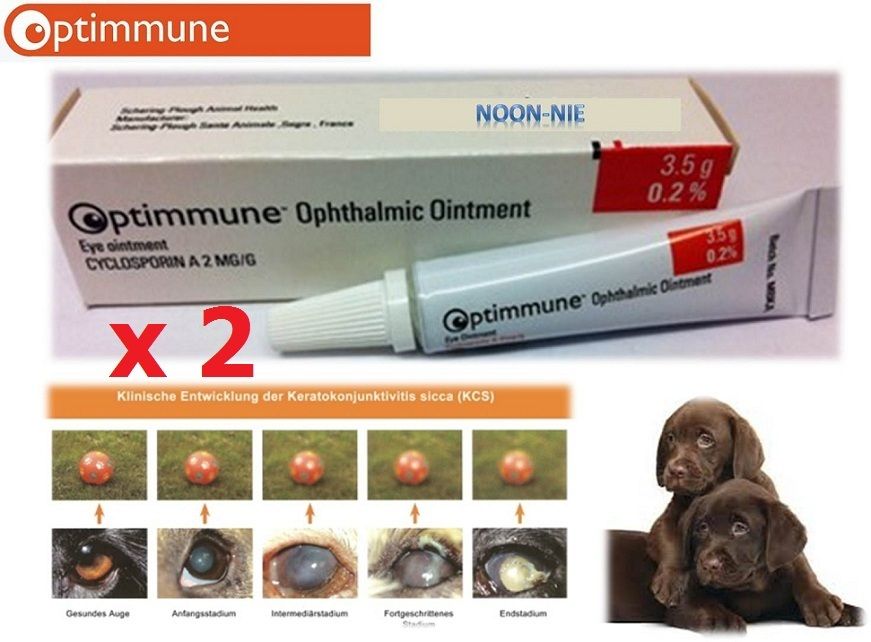 OPTIMMUNE OINTMENT DOG DRY EYE OPHTHALMIC CATARACT ITCHING IRRITATE 3.5G 2tube eBay