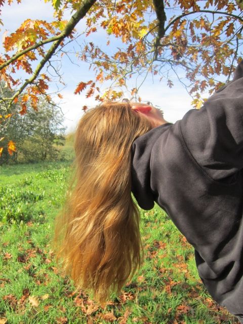 Bild
