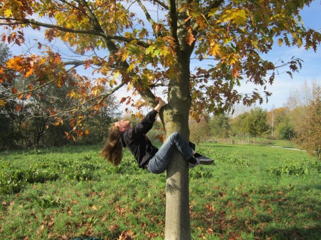 Bild